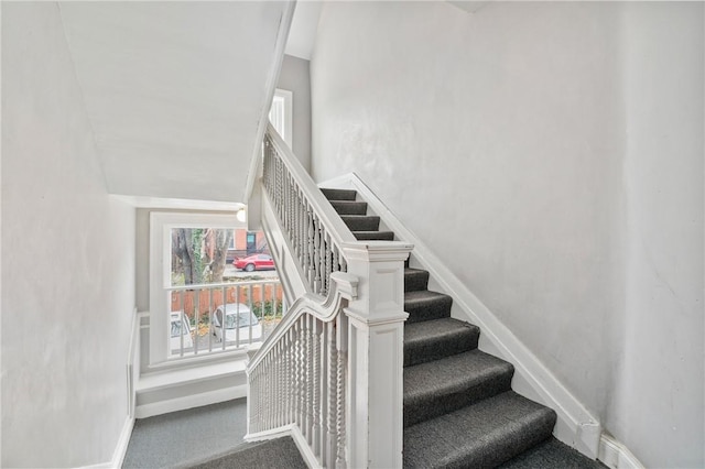 stairs with carpet flooring