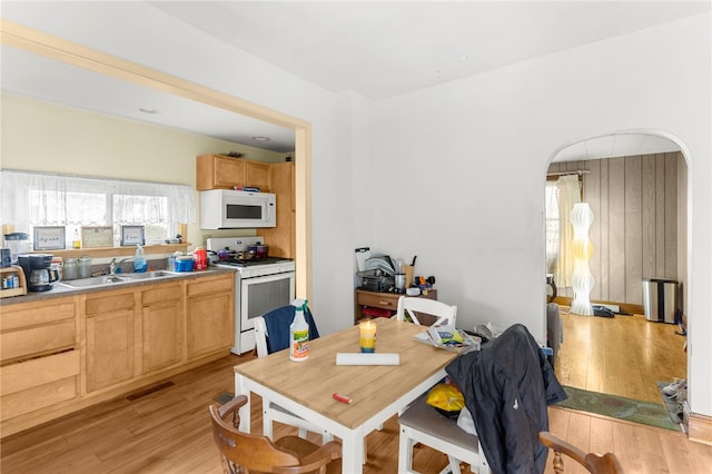 dining space with light hardwood / wood-style floors and sink