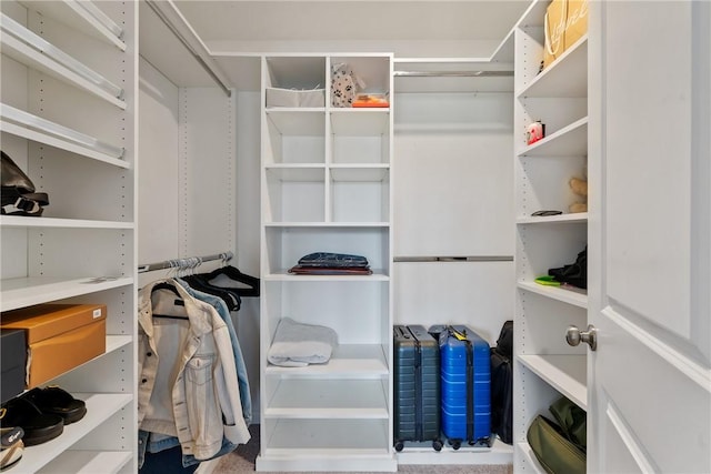 view of spacious closet