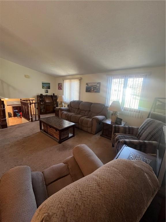 carpeted living room with a wealth of natural light and lofted ceiling