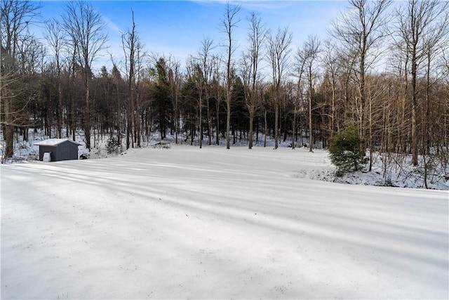 view of yard covered in snow