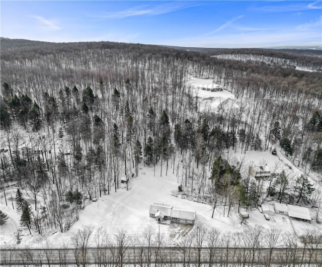 view of snowy aerial view