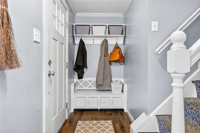 mudroom featuring crown molding and dark wood-type flooring