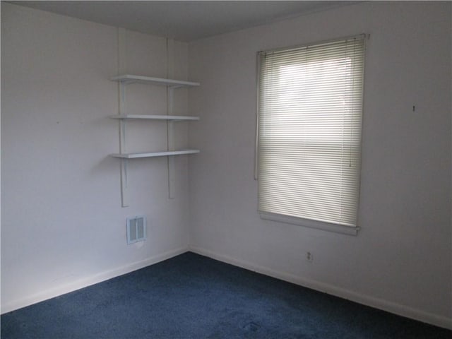 spare room featuring carpet floors