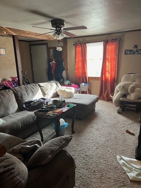 living room featuring ceiling fan and carpet