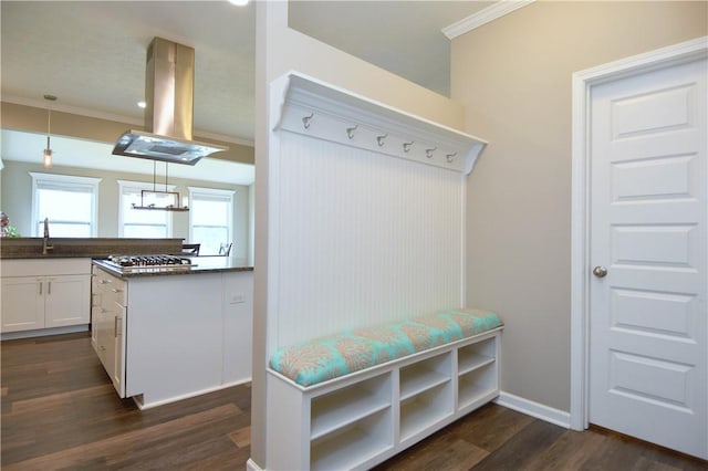 mudroom with dark hardwood / wood-style flooring, ornamental molding, and sink