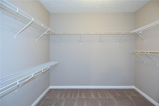 walk in closet with carpet