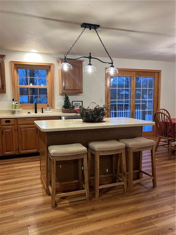 bar with hardwood / wood-style floors, hanging light fixtures, and sink