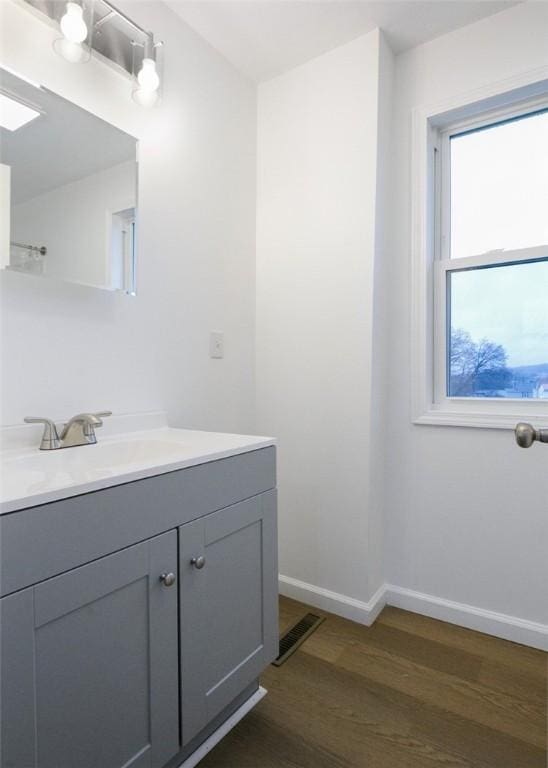 bathroom with vanity and wood-type flooring