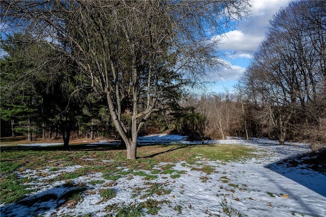 view of yard covered in snow