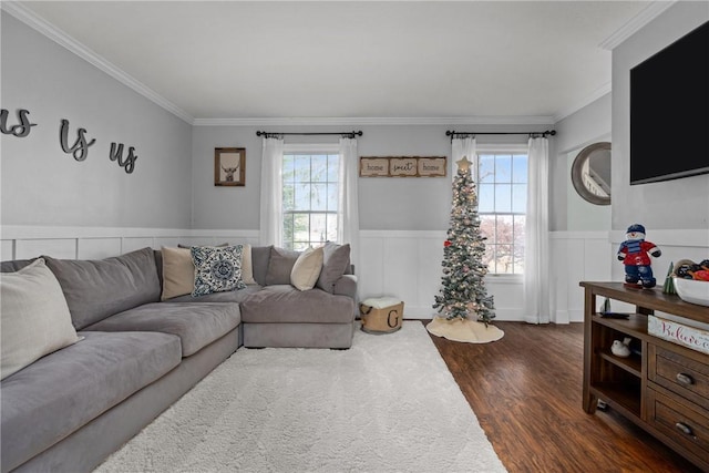 living room with plenty of natural light, dark hardwood / wood-style floors, and ornamental molding