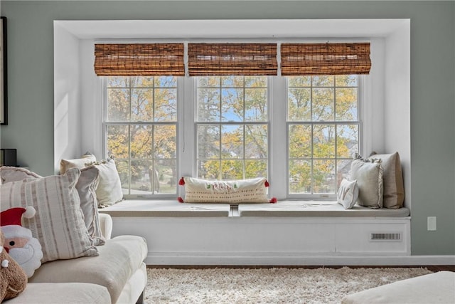 living area with plenty of natural light