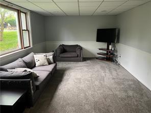 carpeted living room featuring a drop ceiling