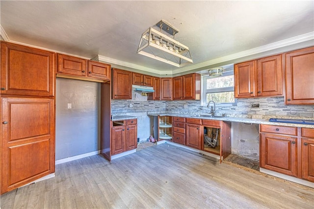 kitchen with ornamental molding, light hardwood / wood-style flooring, pendant lighting, and sink