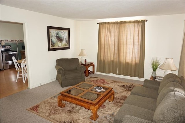 living room featuring wood-type flooring