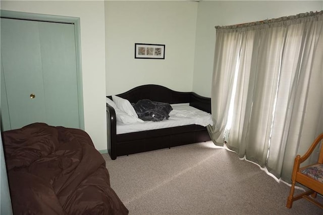 115 Ross St, Confluence Boro, PA 15424 - bedroom featuring carpet floors and a closet