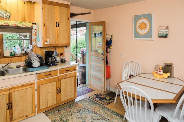 115 Ross St, Confluence Boro, PA 15424 - kitchen with a sink, light countertops, light wood finished floors, and baseboards