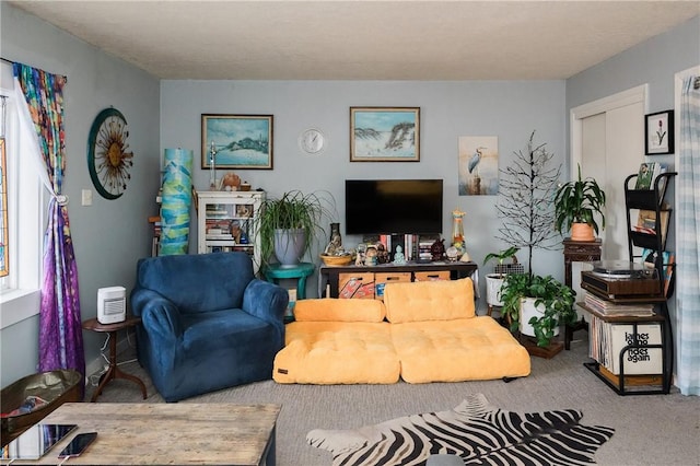 115 Ross St, Confluence Boro, PA 15424 - view of carpeted living area