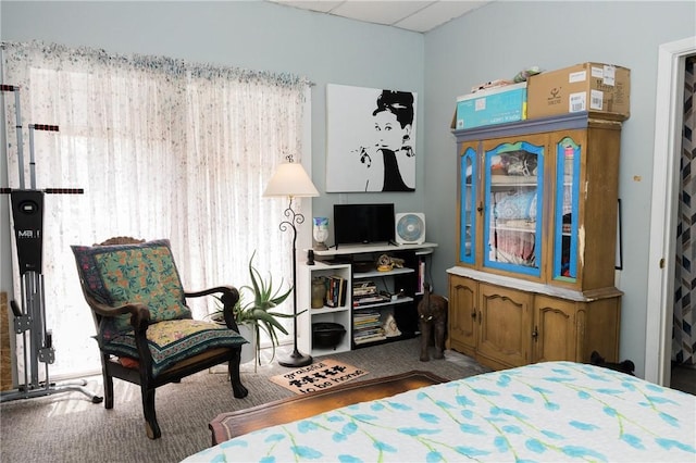 115 Ross St, Confluence Boro, PA 15424 - bedroom featuring wood finished floors