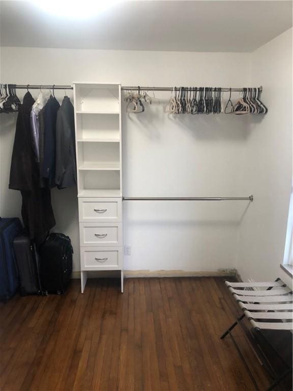 spacious closet featuring dark wood-type flooring