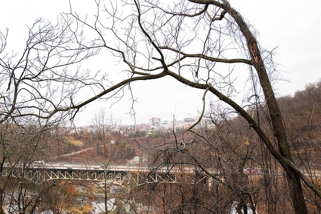 view of local wilderness