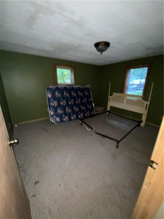 bedroom with carpet flooring