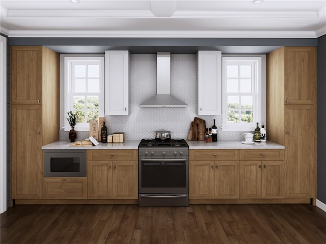 kitchen with wall chimney exhaust hood, dark hardwood / wood-style floors, backsplash, and appliances with stainless steel finishes