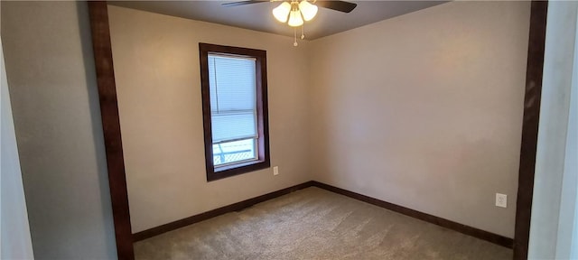 spare room with ceiling fan and carpet flooring