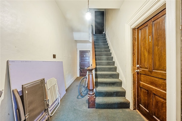 stairs with carpet flooring