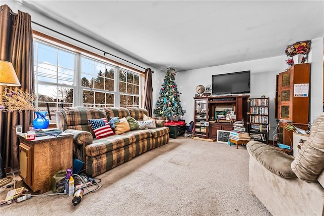 living room with carpet