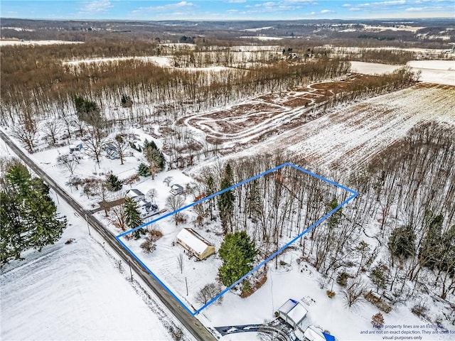 view of snowy aerial view