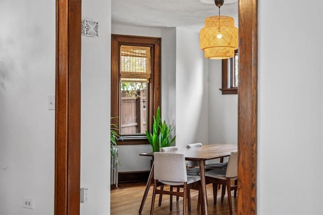 dining room with hardwood / wood-style flooring