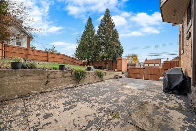 view of yard featuring a patio area