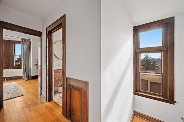 corridor featuring plenty of natural light and light hardwood / wood-style flooring