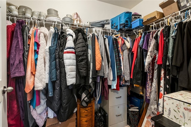 view of walk in closet