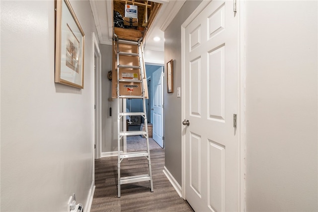 hallway featuring hardwood / wood-style floors and crown molding