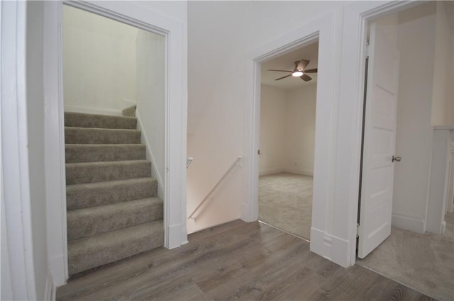 staircase featuring hardwood / wood-style floors and ceiling fan