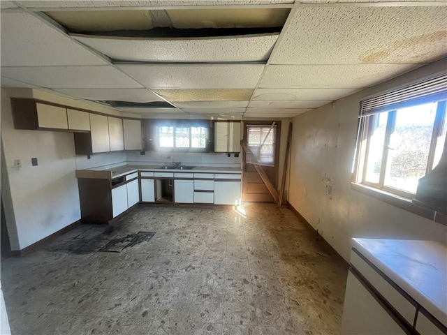 kitchen featuring white cabinets, hardwood / wood-style flooring, a drop ceiling, and sink