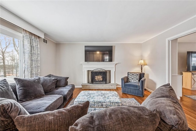 living room featuring a fireplace and light hardwood / wood-style flooring