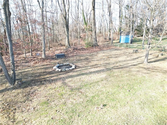 view of yard featuring a storage shed