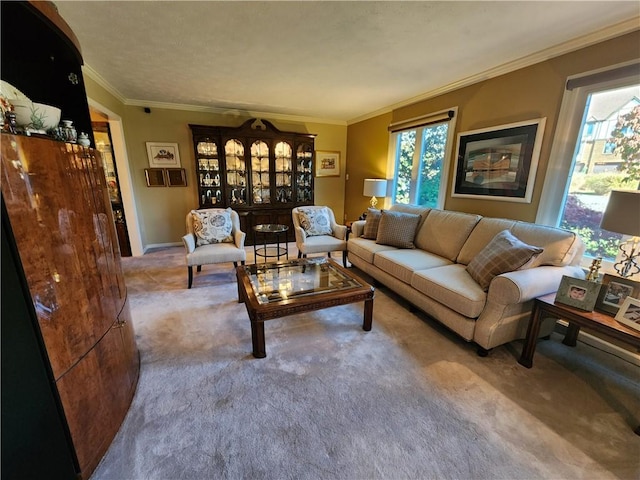 living room featuring ornamental molding and carpet flooring