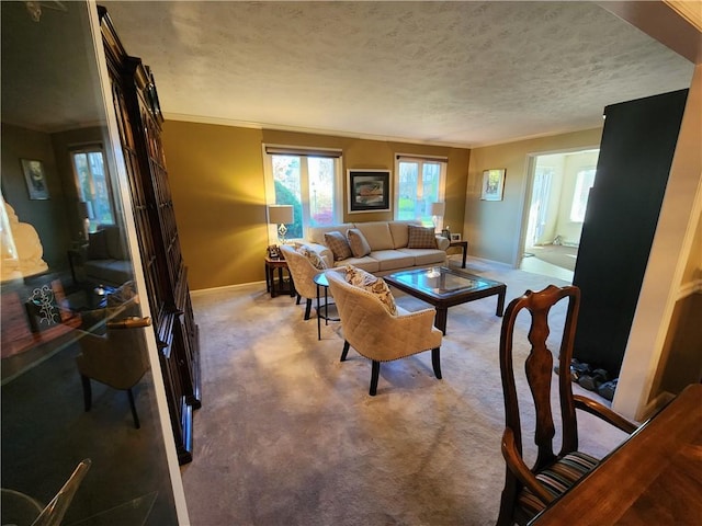 carpeted living room featuring a textured ceiling