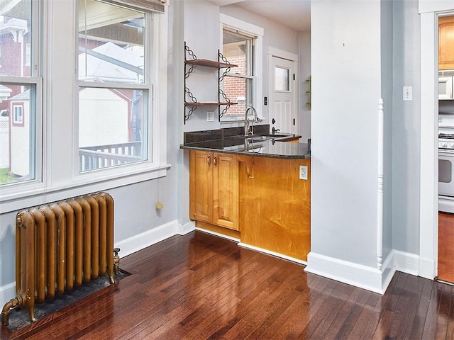 bar with white appliances, dark hardwood / wood-style flooring, plenty of natural light, and radiator