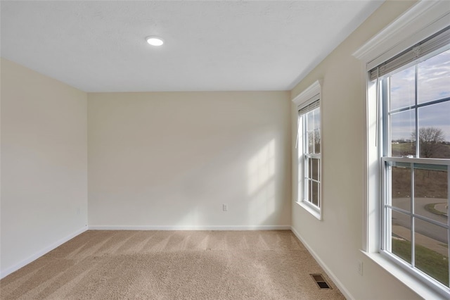 unfurnished room with carpet and a healthy amount of sunlight