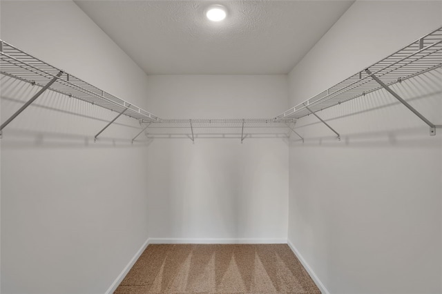 walk in closet featuring carpet flooring