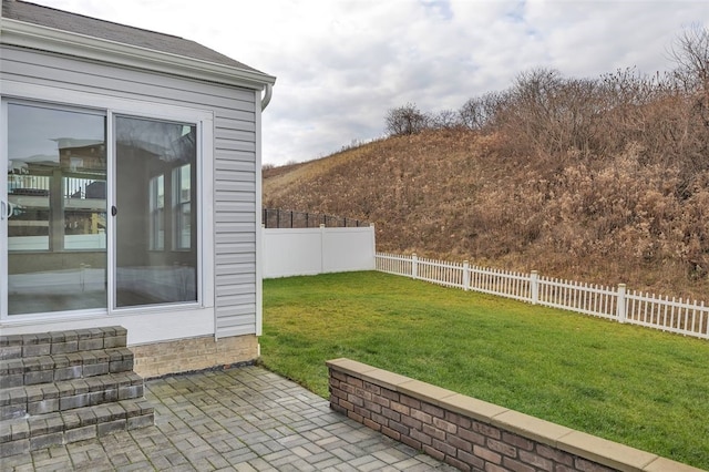 view of yard featuring a patio area