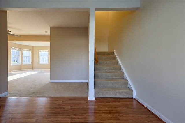 staircase with hardwood / wood-style flooring