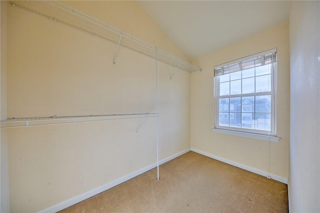 spacious closet featuring carpet floors and vaulted ceiling