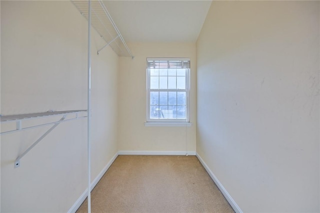 walk in closet with light colored carpet