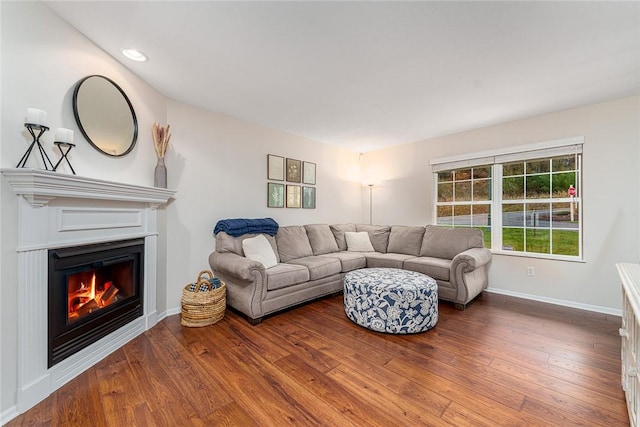 living room with hardwood / wood-style floors